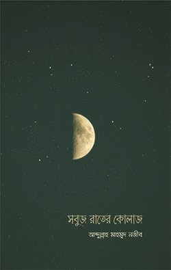 Picture of সবুজ রাতের কোলাজ